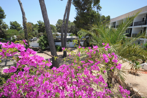 Jardin Casa de Vacaciones Torralba